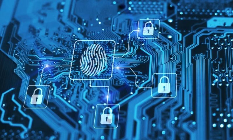 金秀小程序开发公司实力比拼：从案例口碑到技术交付的深度测评